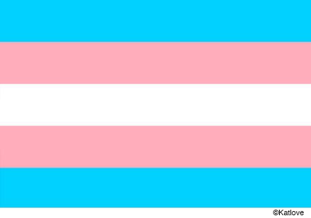 bandera del orgullo trans